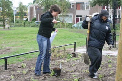 Foto 27 uit Tropische Buurttuin