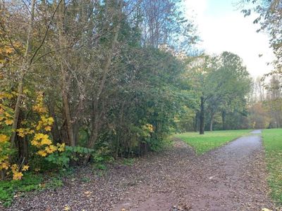 Foto 100 uit X-Herfst Verschillende jaren  2026
