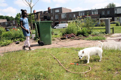 Foto 55 uit Tropische Tuin12_6