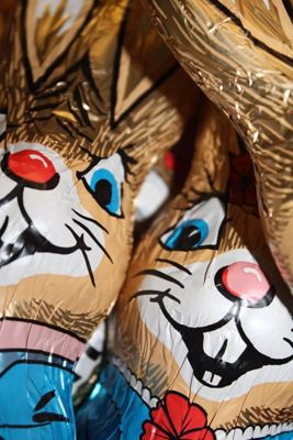 Foto 11 uit PasenStormpolder_3