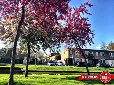 Foto 17 uit LIKEJEWIJK FOTO'S_3