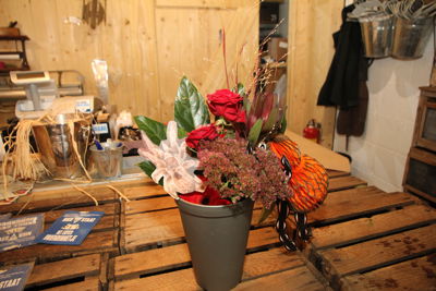 Foto 8 uit DierendagPrijzen