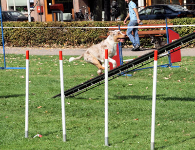 Foto 99 uit Wijkfeest12-09-2009