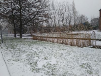 Foto 198 uit WinterIn Beverwaard