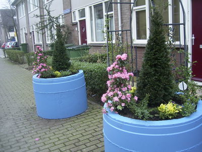 Foto 18 uit opzomeren 2005