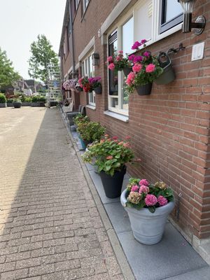 Foto 131 uit Rondje Beverwaard 2026