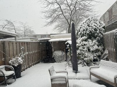 Foto 6 uit X- Sneeuw in de Beverwaard 2026