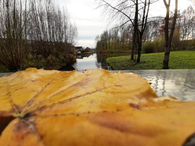 Foto 75 uit Herfst In Beverwaard