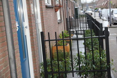 Foto 10 uit VoortuinSchinnenbaan