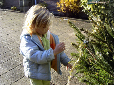 Foto 462 uit kerstdagen2005