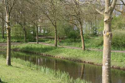 Foto 442 uit StratenBEVERWAARD