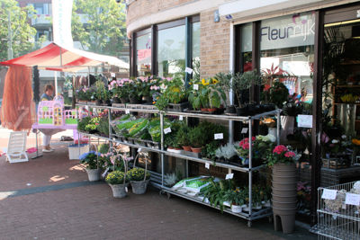 Foto 5 uit Rommelmarkt11-08