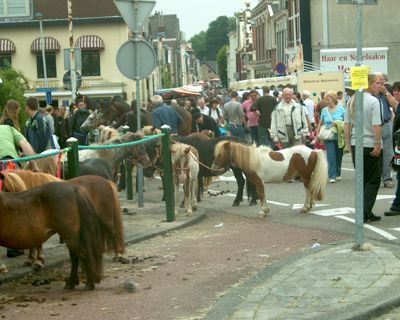 Foto 12 uit ijsselmonde25_6-8