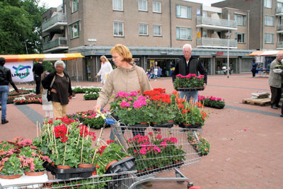 Foto 111 uit OpzoomerenPlantjes