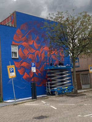 Foto 12 uit All Caps Muurschilderingen Beverwaard 2026