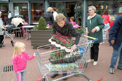 Foto 96 uit OpzoomerenPlantjes