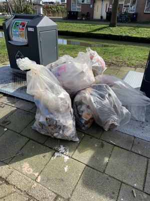 Foto 19 uit Beverwaard Schoon