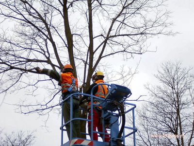 Foto 950 uit WcBeverwVerbouwing