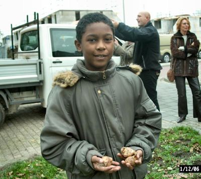 Foto 13 uit bloembollen planten