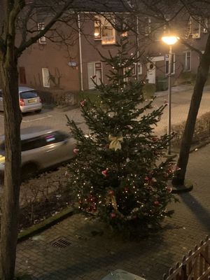 Foto 36 uit Kerstboom optuigen