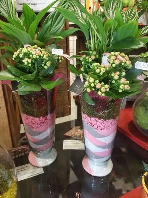 Foto 15 uit NeelyshaNieuweZaak