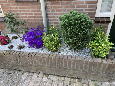 Foto 237 uit Rondje Beverwaard 2026