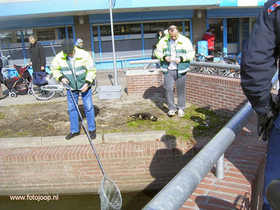 Foto 114 uit Foto's Beverwaard