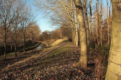 Foto 4 uit Herfst In Beverwaard