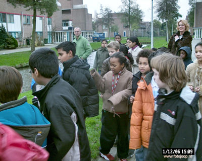 Foto 86 uit bloembollen planten