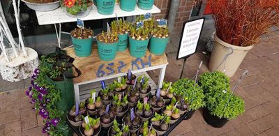 Foto 2 uit CoronaMededelingen