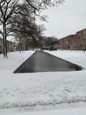 Foto 158 uit WinterIn Beverwaard