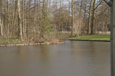 Foto 530 uit StratenBEVERWAARD