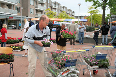 Foto 113 uit OpzoomerenPlantjes