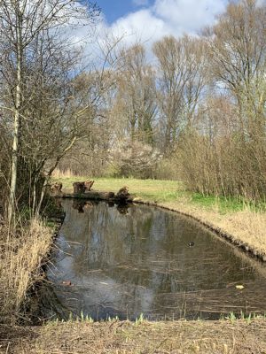 Foto 83 uit Rondje Beverwaard 2026