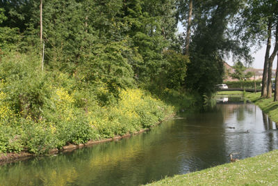 Foto 461 uit StratenBEVERWAARD