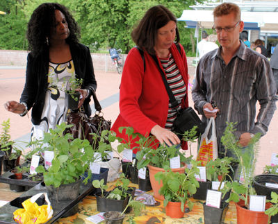 Foto 53 uit Tuin-Academie25-4_9