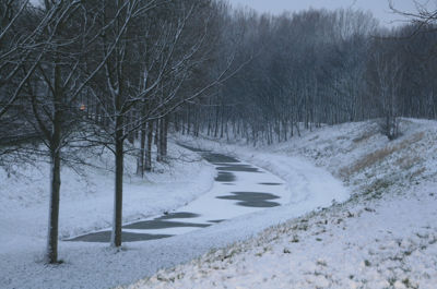 Foto 231 uit WinterIn Beverwaard