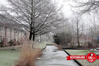 Foto 119 uit WinterIn Beverwaard