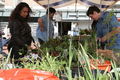 Foto 20 uit PlantenRuilBeurs24_4