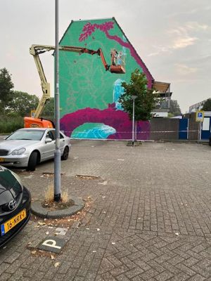 Foto 8 uit All Caps Muurschilderingen Beverwaard 2026