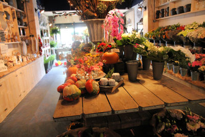 Foto 104 uit De Bloemenboetiek