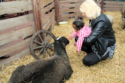 Foto 96 uit WijkFeest15_09_2012