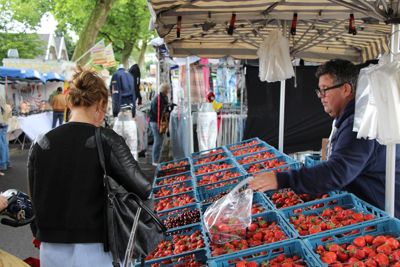 Foto 107 uit Paardenmarkt29-6