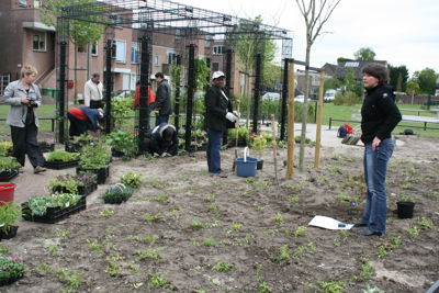 Foto 39 uit Tropische Buurttuin