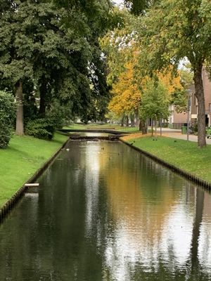 Foto 392 uit Rondje Beverwaard 2026