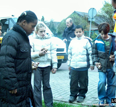 Foto 114 uit bloembollen planten