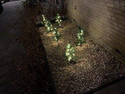 Foto 10 uit Kerst In Beverwaard