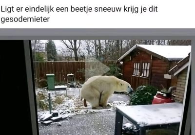 Foto 39 uit X- Sneeuw in de Beverwaard 2026