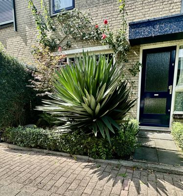 Foto 365 uit Rondje Beverwaard 2026