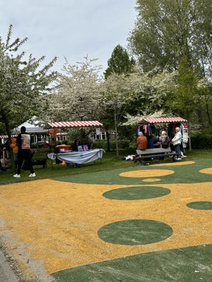 Foto 3 uit Koningsdag 2026